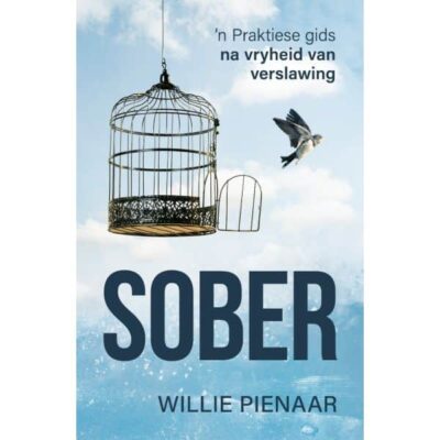 Sober: 'n Praktiese gids na vryheid van verslawing