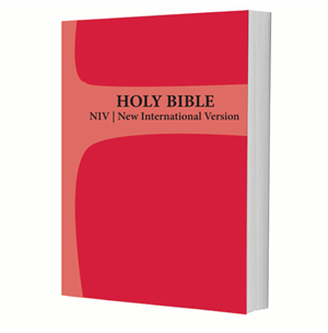 Bible NIV Cherry Red Cross Soft Cover
